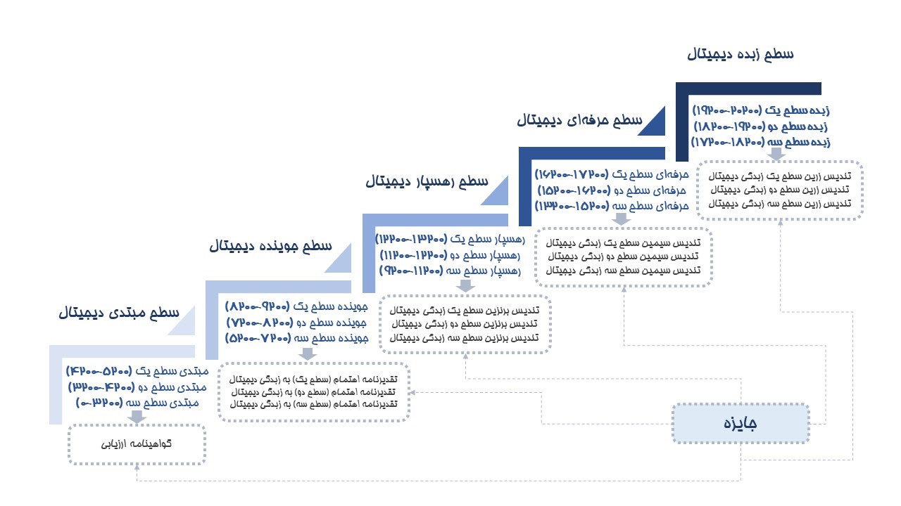 شکل ۲. سطوح مدل بلوغ دیجیتال 20200